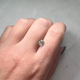 Salt and Pepper 0.95ct Round Brilliant 6.10x6.10x3.70mm SP1395