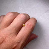 0.27ct 3.65x3.60x2.12mm Cushion Brilliant Cut F14919