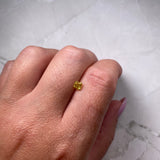 0.48ct 3.85x3.81x3.20mm Cushion Brilliant Cut F1497