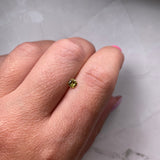 0.30ct 3.92x3.65x2.95mm Cut Corner Square Brilliant  F14910
