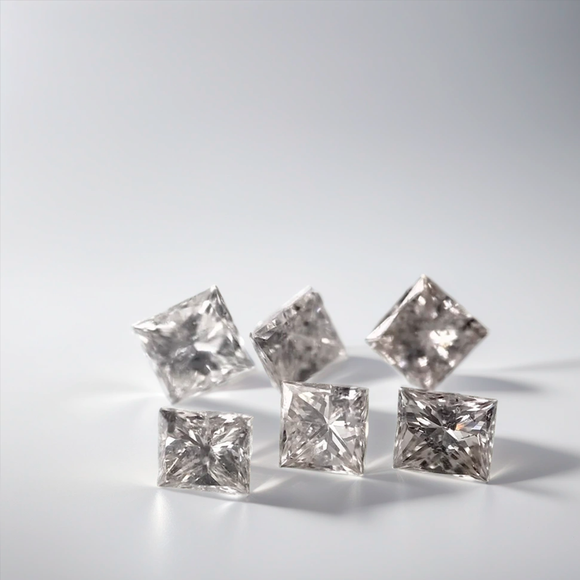 0.66cttw 6pc Matching Salt and Pepper Princess Cut SP1007